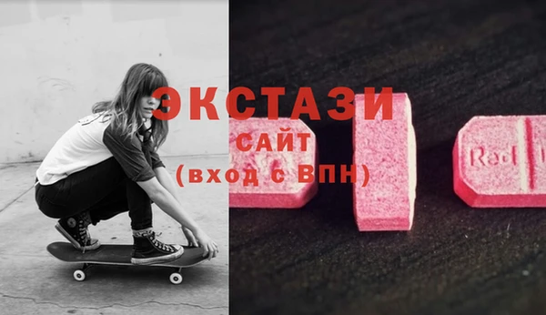 крисы Богородицк