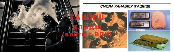 крисы Богородицк