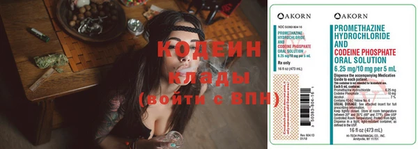 крисы Богородицк