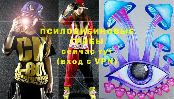 apvp Богданович