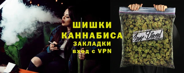 крисы Богородицк