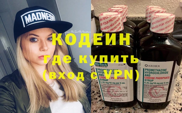 крисы Богородицк