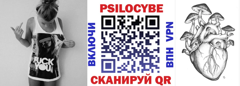 Галлюциногенные грибы Psilocybine cubensis  Купить закладки  Заволжск 